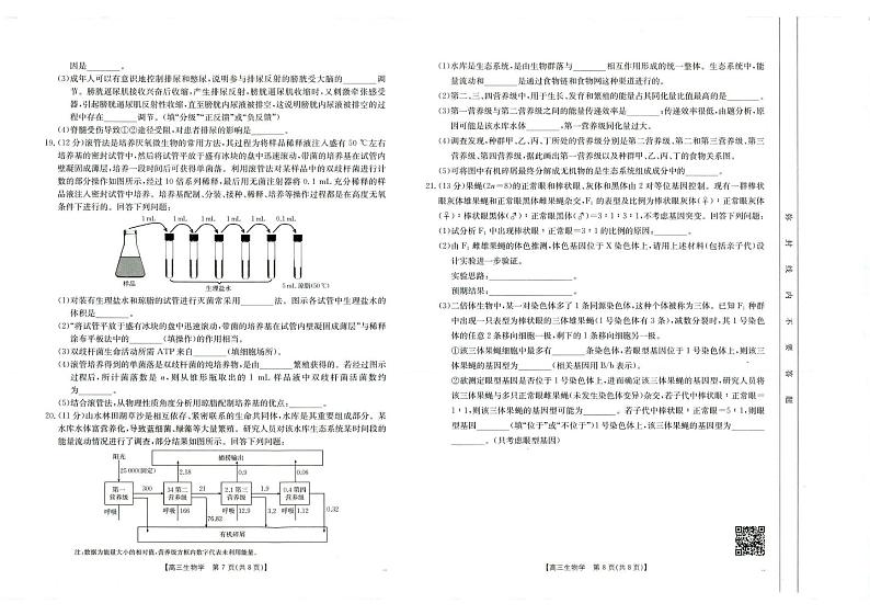 生物丨广西百校联考2025届高三上学期11月月考生物试卷及答案第3页