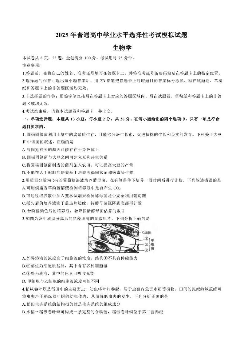 生物丨河北省沧州市运东五校2025届高三上学期11月期中考试生物试卷及答案第1页