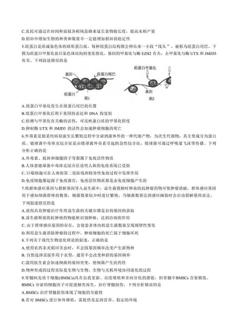 生物丨河北省沧州市运东五校2025届高三上学期11月期中考试生物试卷及答案第2页