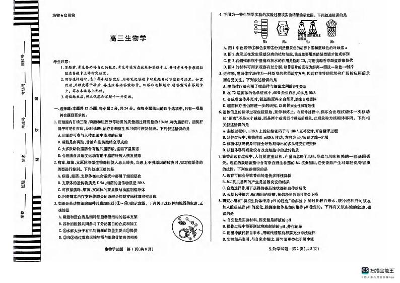生物丨湖南省天一大联考&湘一名校联盟2025届高三上学期11月联考生物试卷及答案第1页