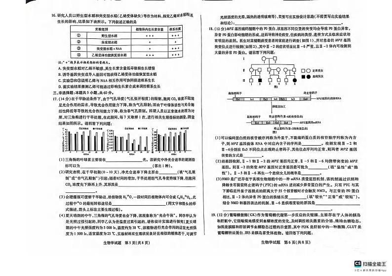 生物丨湖南省天一大联考&湘一名校联盟2025届高三上学期11月联考生物试卷及答案第3页