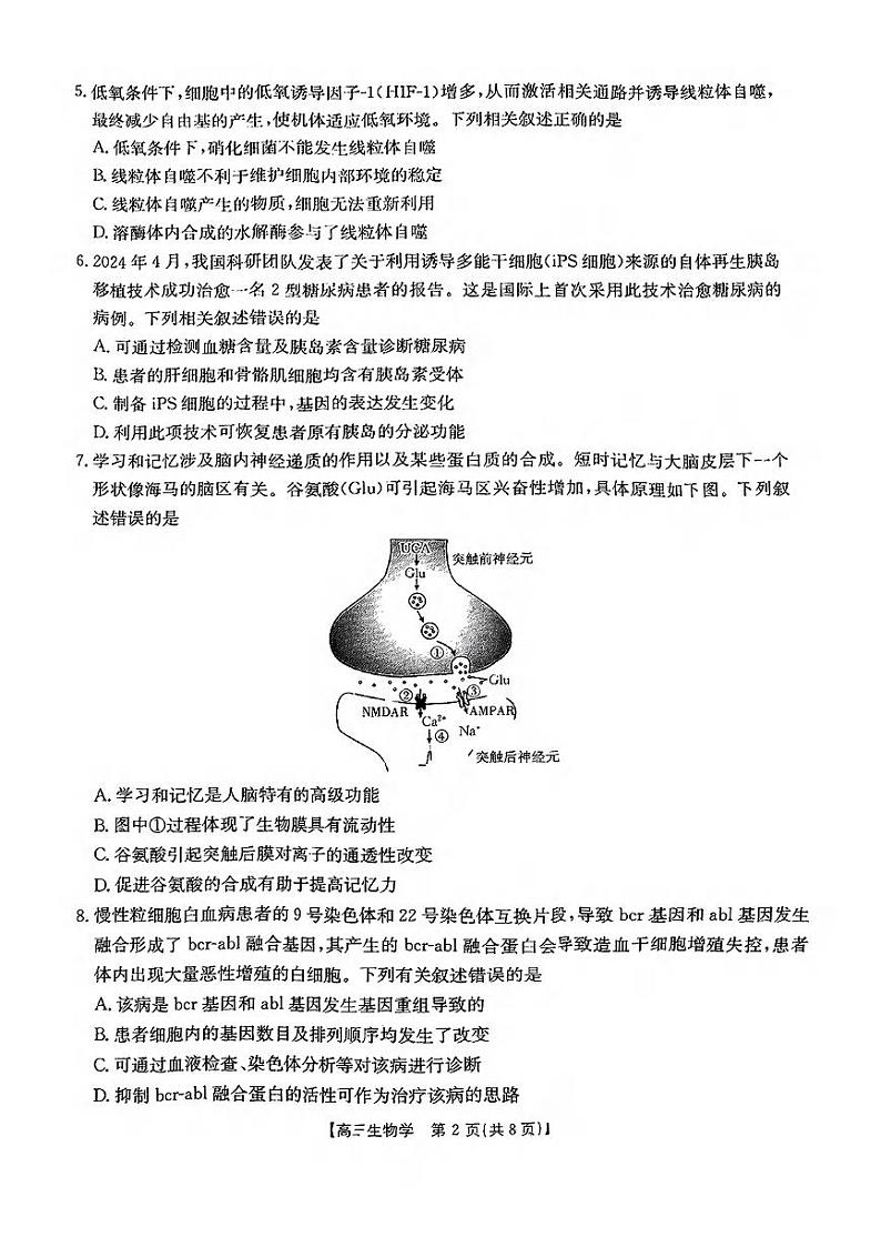 生物丨金太阳广东省2025届高三11月联考生物试卷及答案第2页