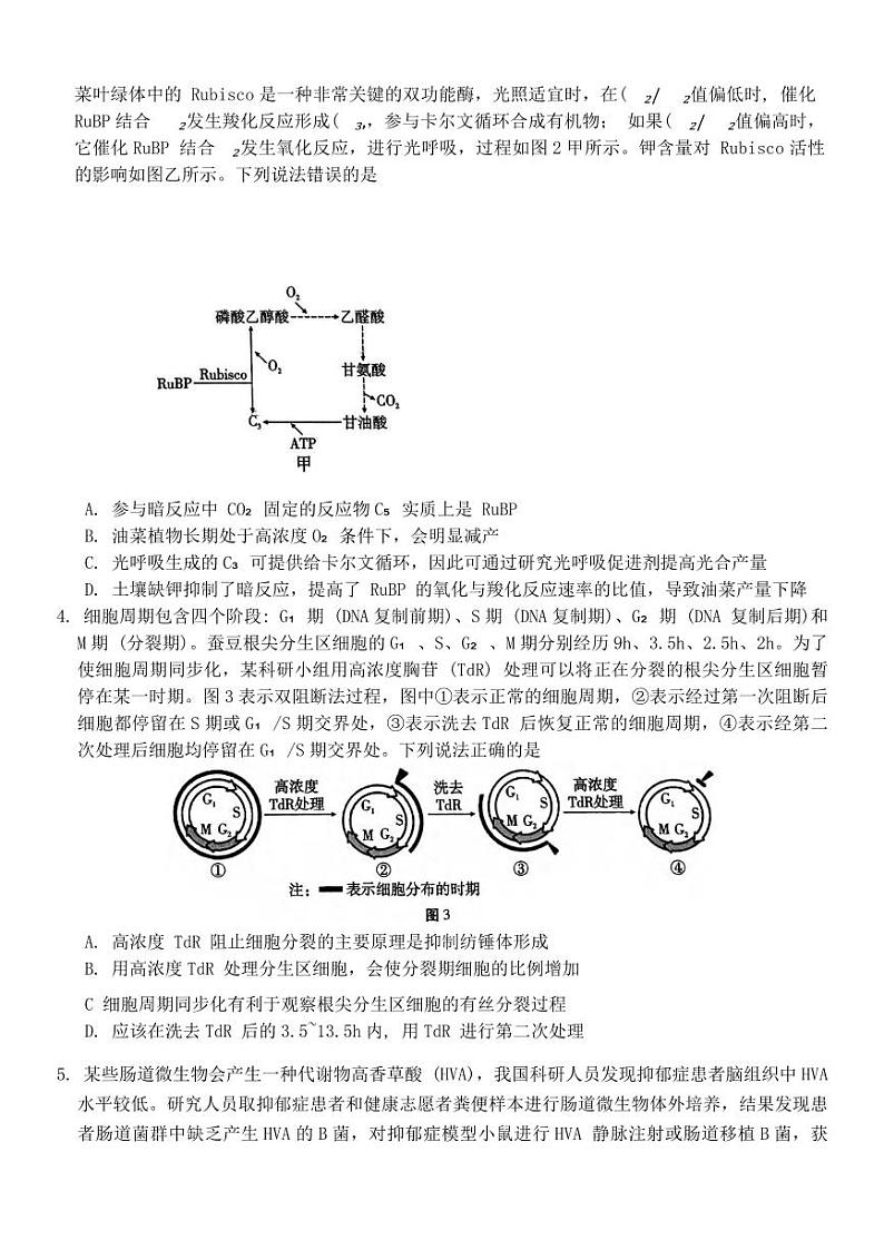 生物丨重庆市第八中学校2025届高三11月上学期适应性月考（三）生物试卷及答案第2页