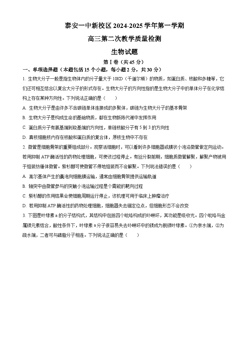山东省泰安第一中学2025届高三上学期11月月考生物试题第1页