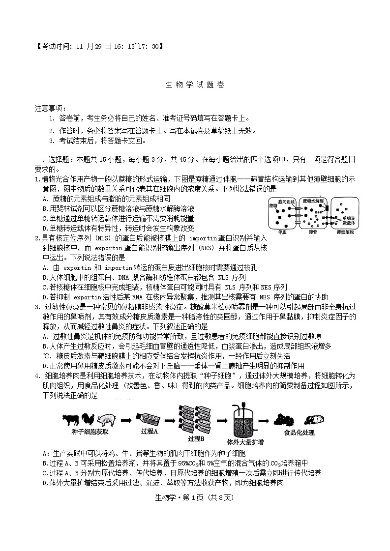 重庆市第一中学校2024-2025学年高三上学期11月期中生物学试题卷第1页