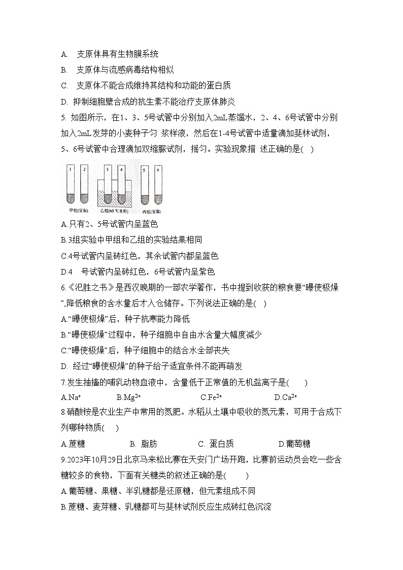 新疆维吾尔自治区和田地区墨玉县第一中学2024-2025学年高一上学期11月月考生物试题第2页