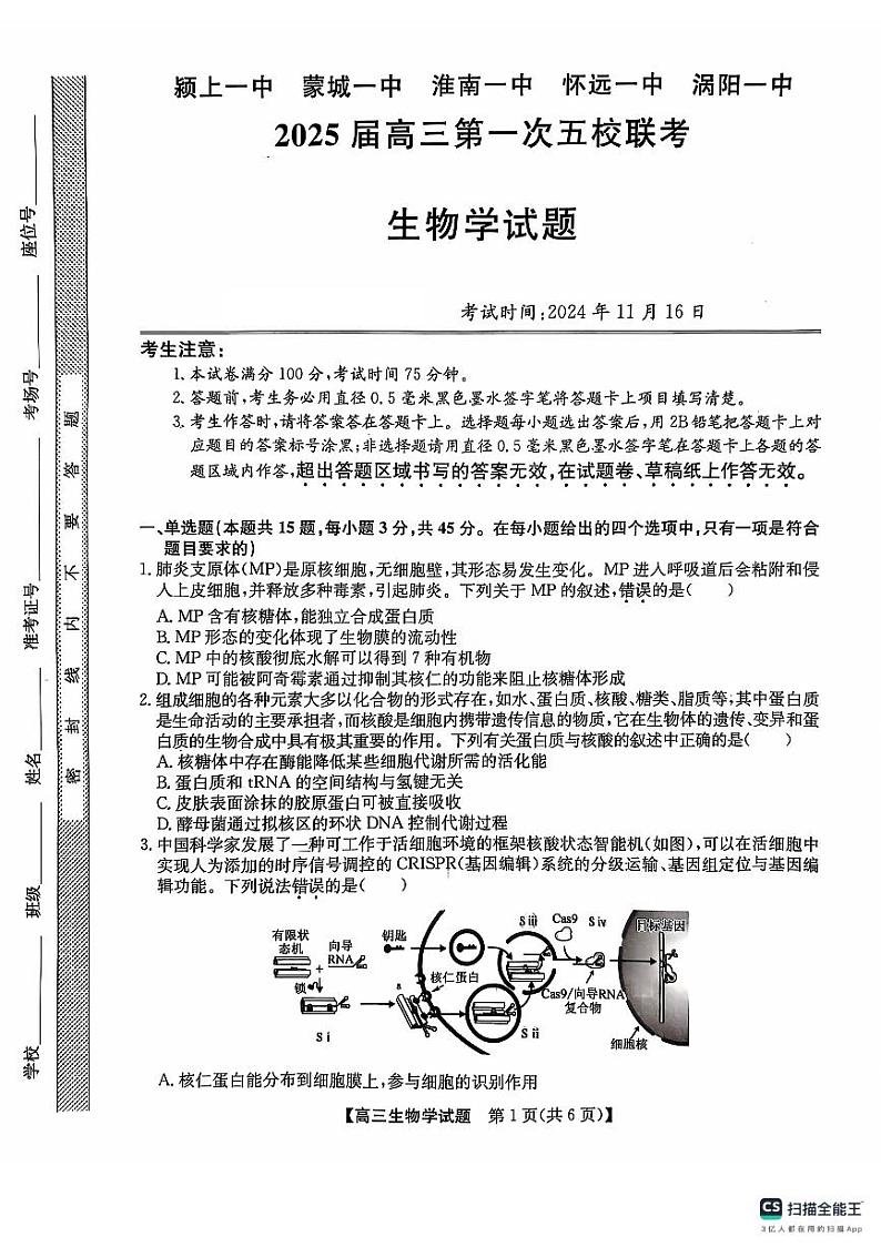 安徽省五校联考2024-2025学年高三上学期11月期中生物试题第1页