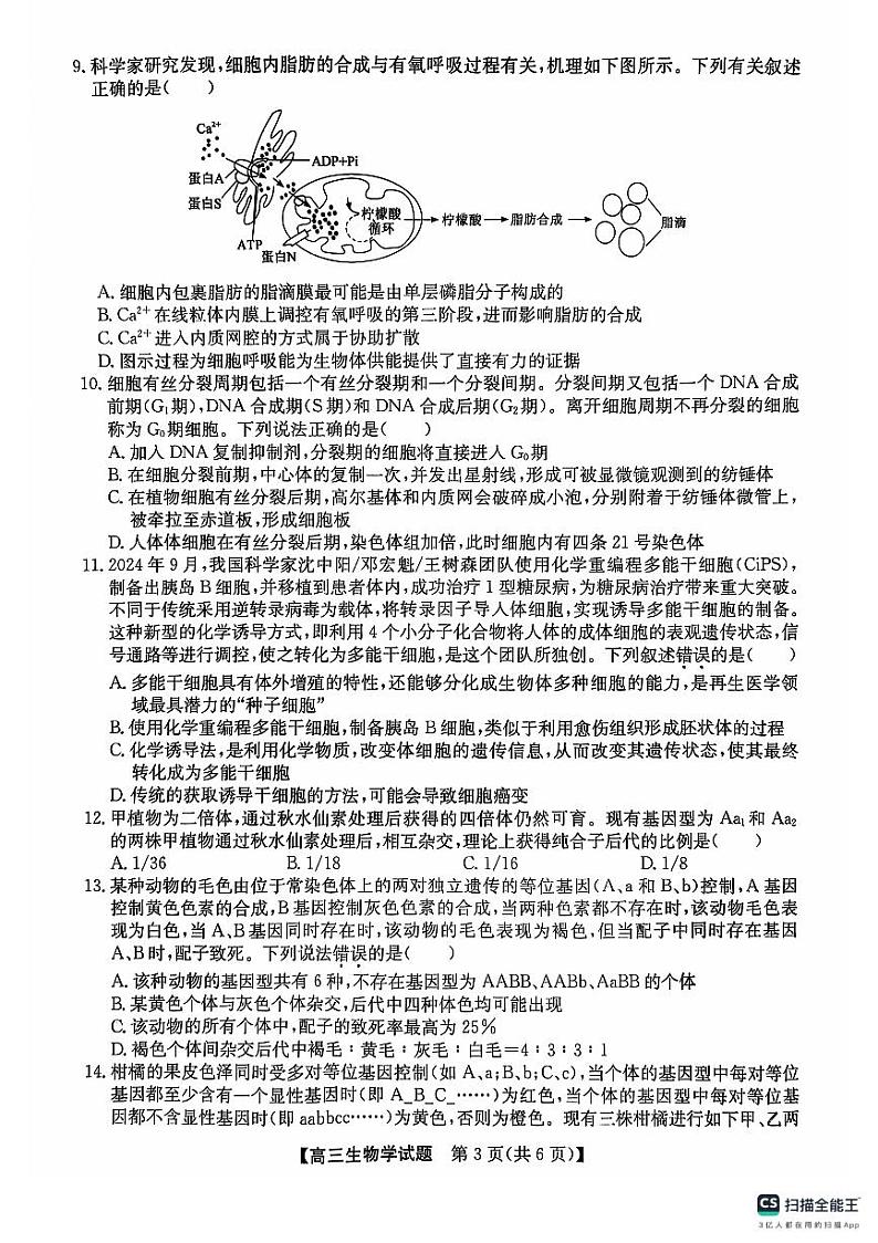 安徽省五校联考2024-2025学年高三上学期11月期中生物试题第3页