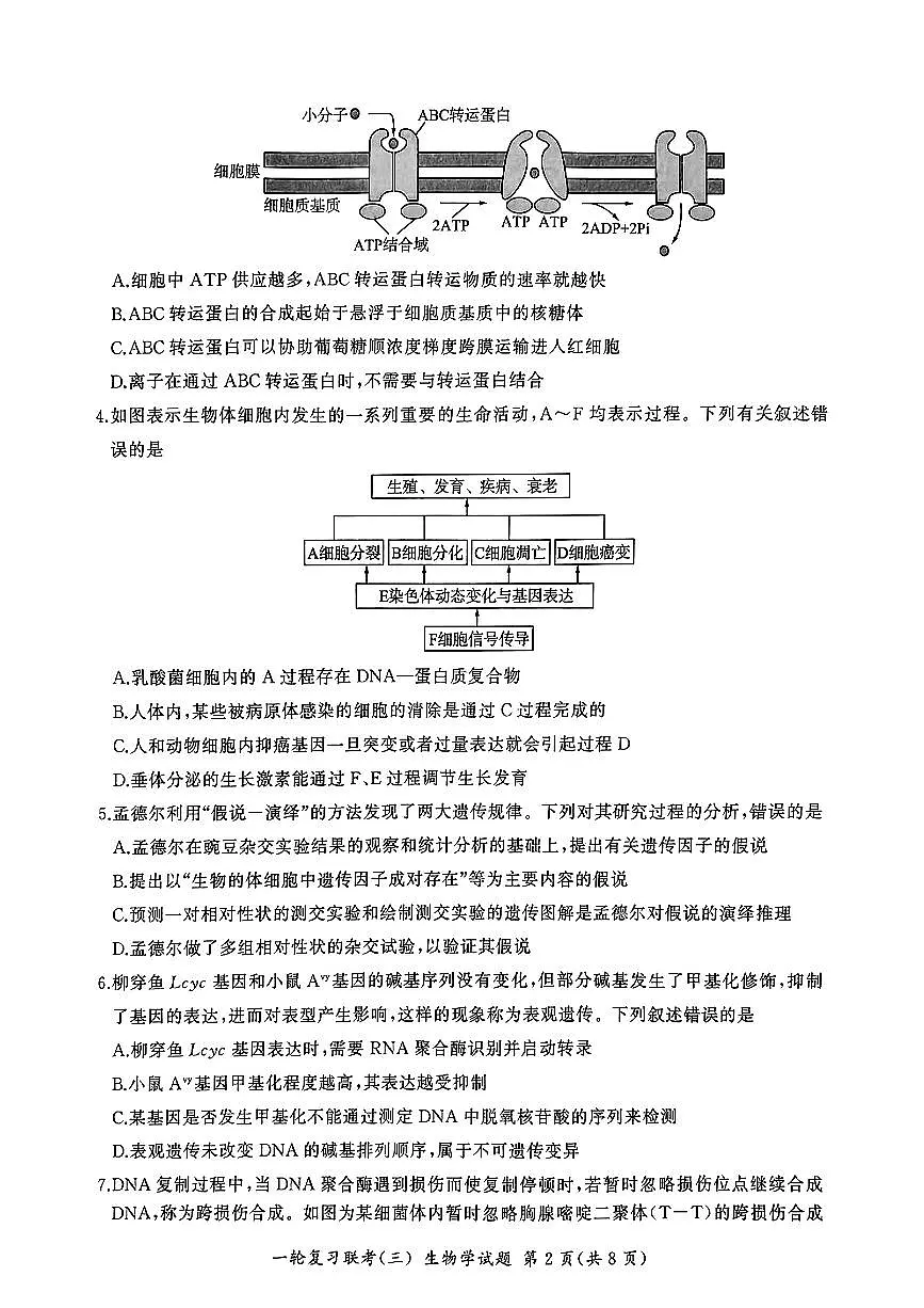 生物第2页