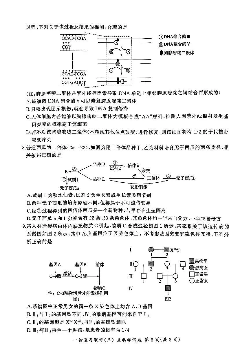 生物第3页