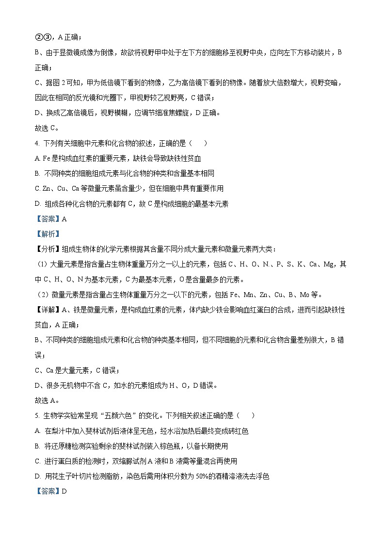贵州省六盘水市2024—2025学年高一上学期期中考试生物试题  Word版含解析第3页