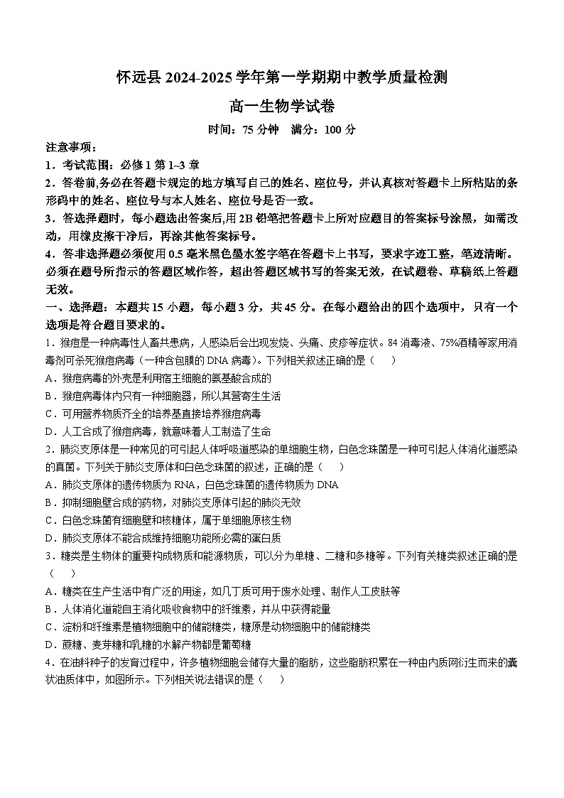 安徽省蚌埠市怀远县2024-2025学年高一上学期期中考试生物试卷（Word版附答案）第1页