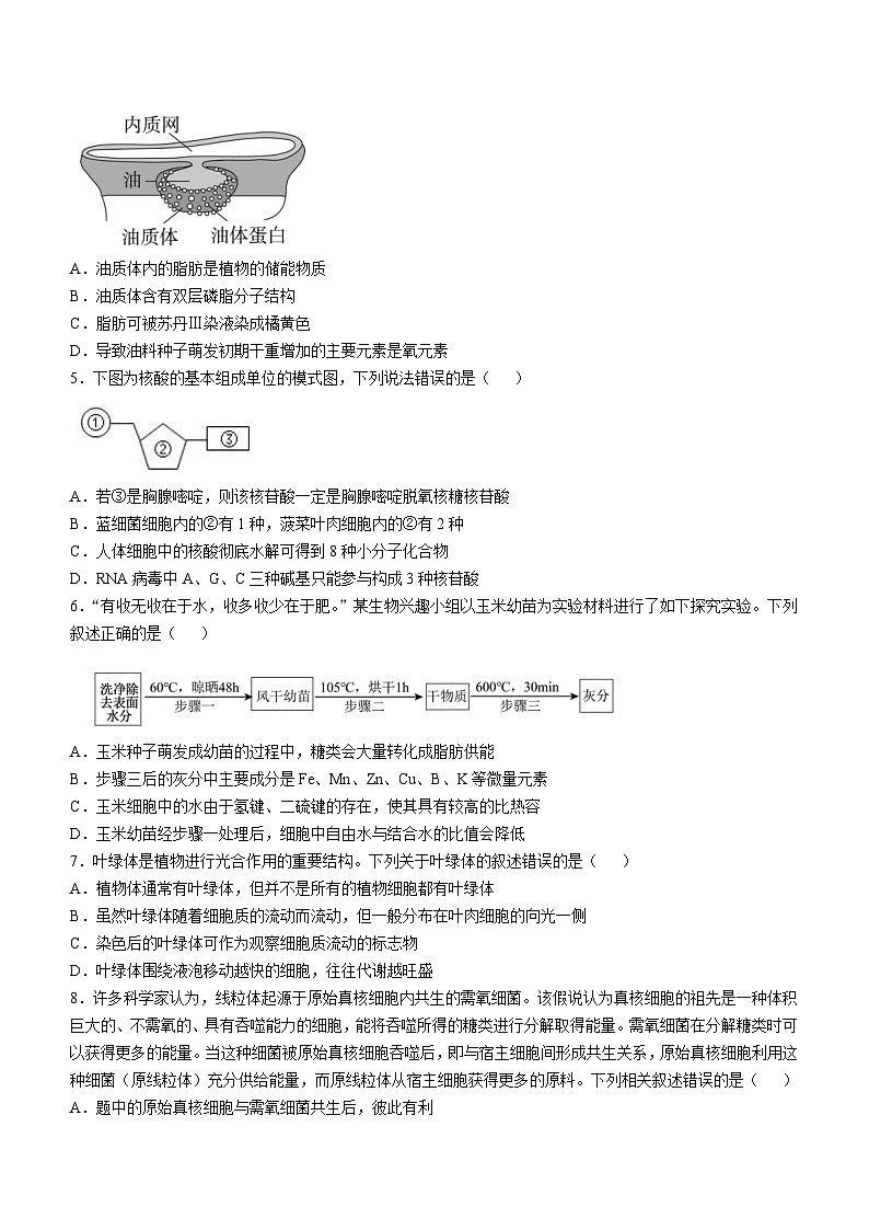 安徽省蚌埠市怀远县2024-2025学年高一上学期期中考试生物试卷（Word版附答案）第2页