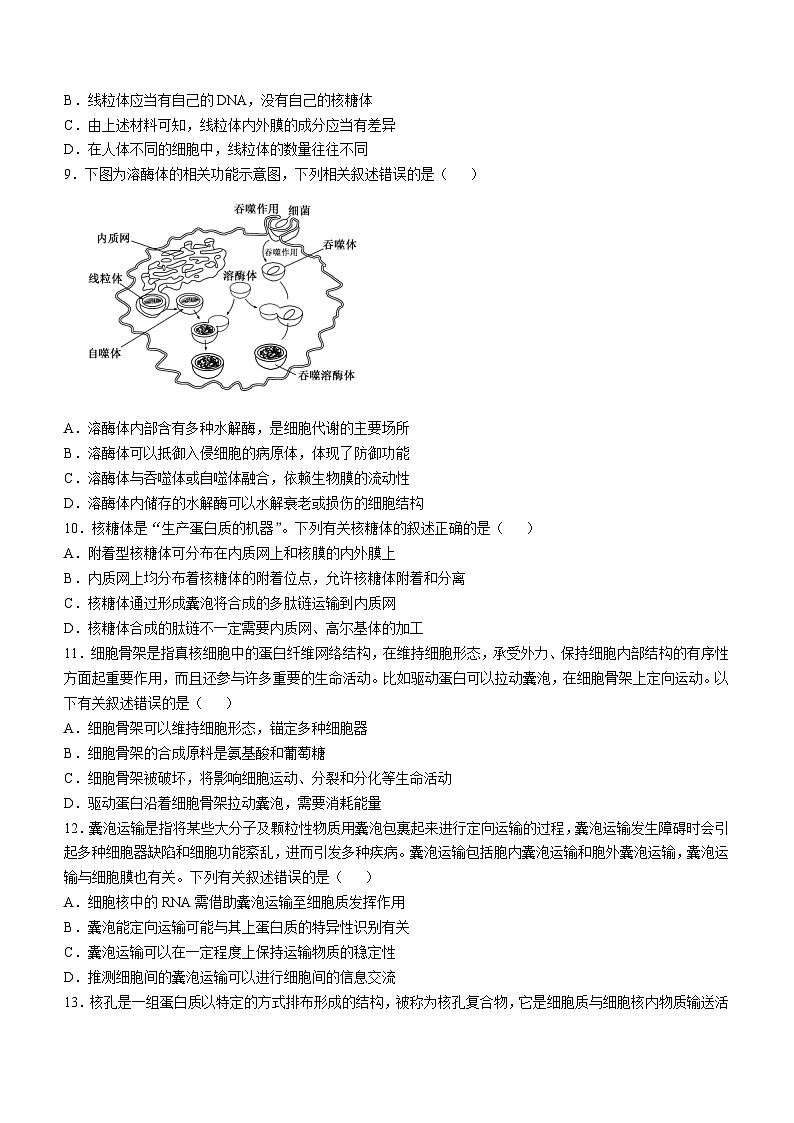 安徽省蚌埠市怀远县2024-2025学年高一上学期期中考试生物试卷（Word版附答案）第3页