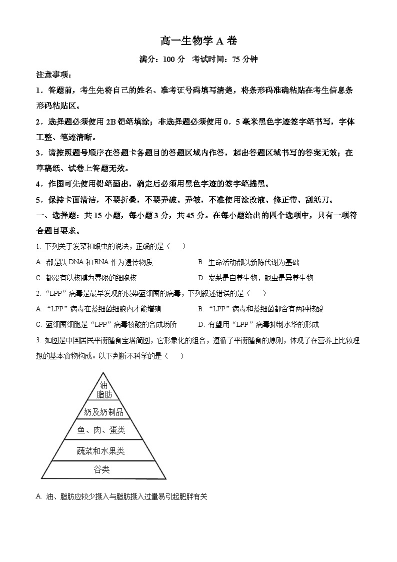 安徽省鼎尖教育2024-2025学年高一上学期11月期中考试生物A卷试题  Word版无答案第1页