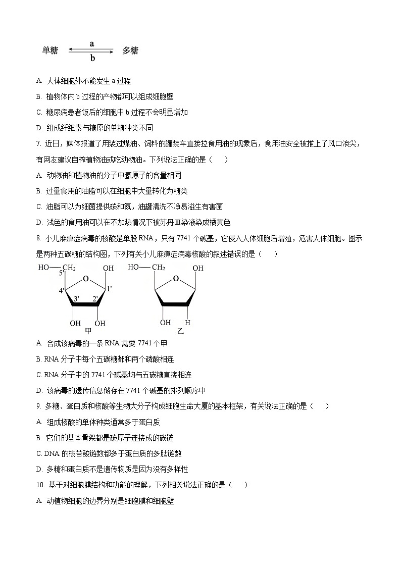 安徽省鼎尖教育2024-2025学年高一上学期11月期中考试生物A卷试题  Word版无答案第3页