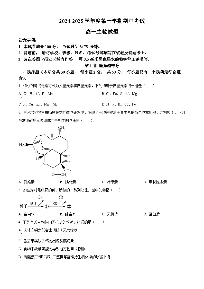江苏省连云港市东海县2024-2025学年高一上学期期中考试生物试题  Word版无答案第1页