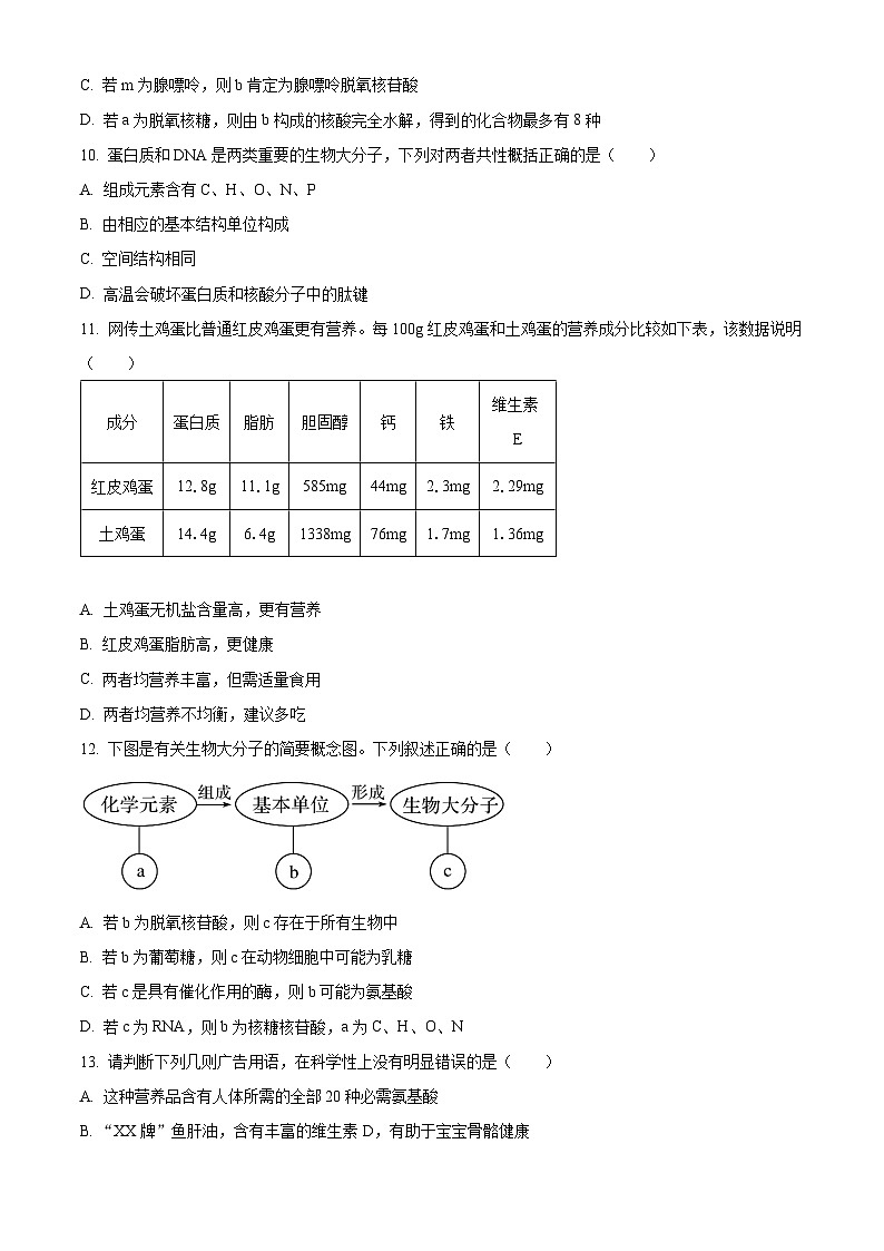江苏省连云港市东海县2024-2025学年高一上学期期中考试生物试题  Word版无答案第3页