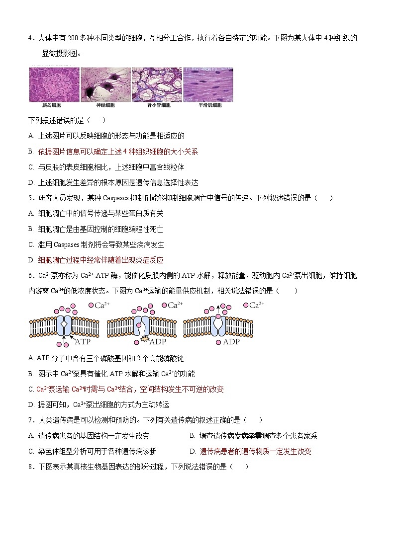 浙江省金华市金东区曙光学校2024-2025学年高二上学期11月期中生物试题第2页