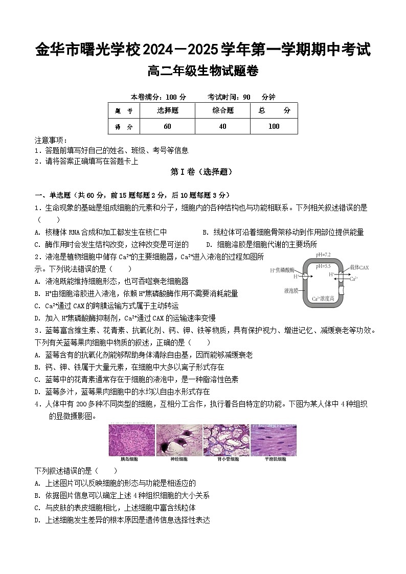 期中考试高二生物试题卷-2024.11第1页