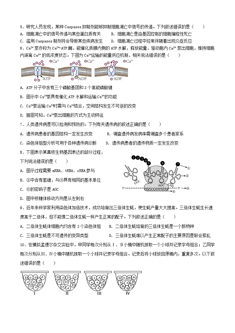 期中考试高二生物试题卷-2024.11第2页