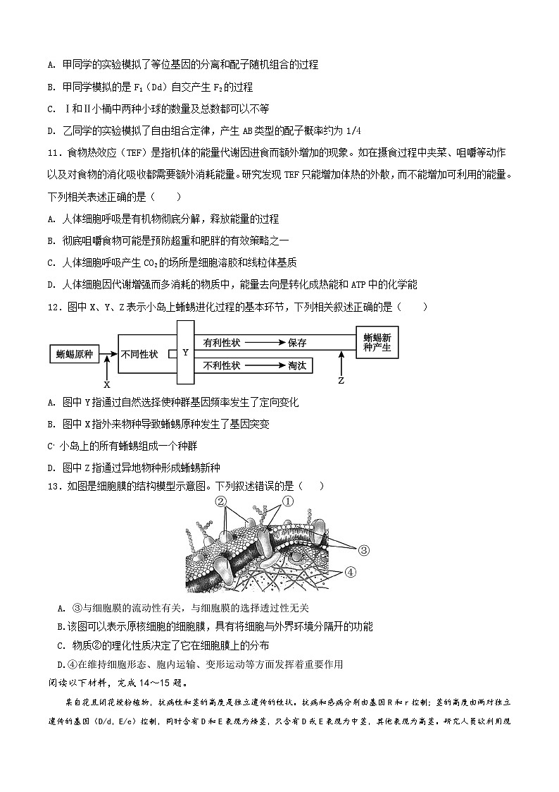 期中考试高二生物试题卷-2024.11第3页