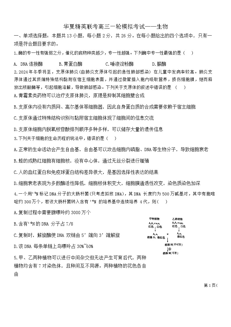 山西省临汾市尧都区临汾同盛高级中学2024-2025学年高三上学期11月期中生物试题第1页
