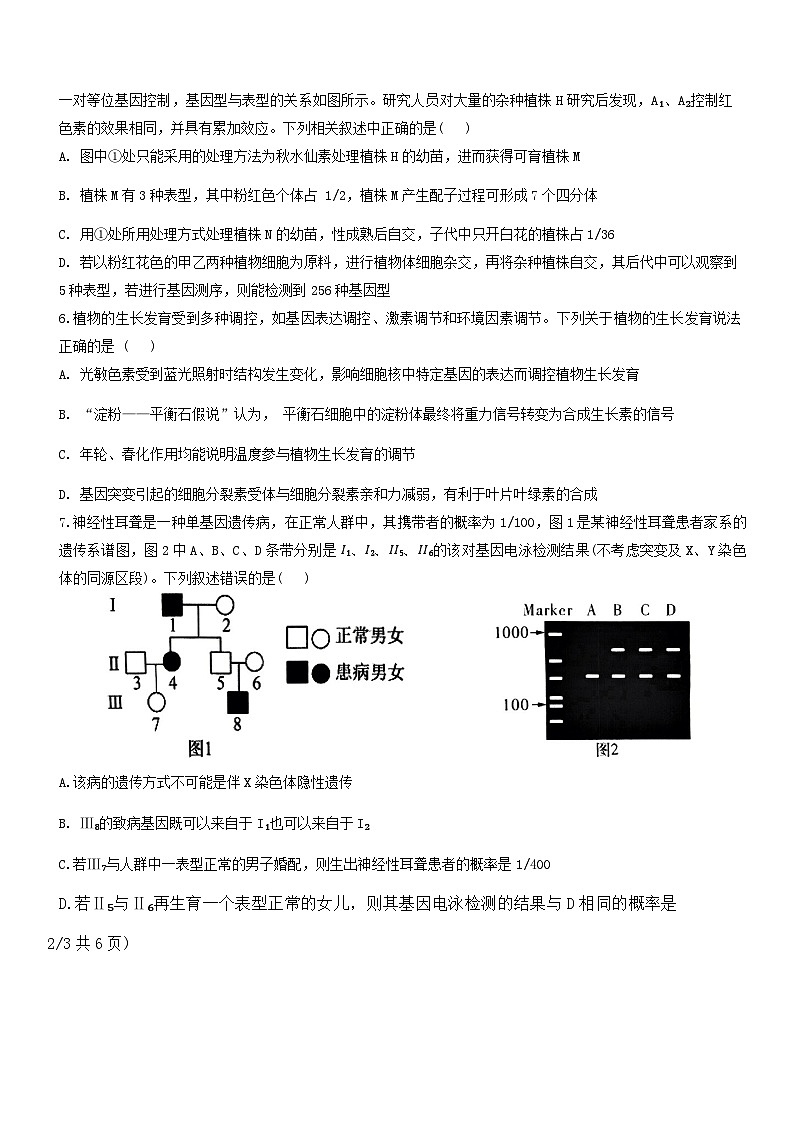山西省临汾市尧都区临汾同盛高级中学2024-2025学年高三上学期11月期中生物试题第2页