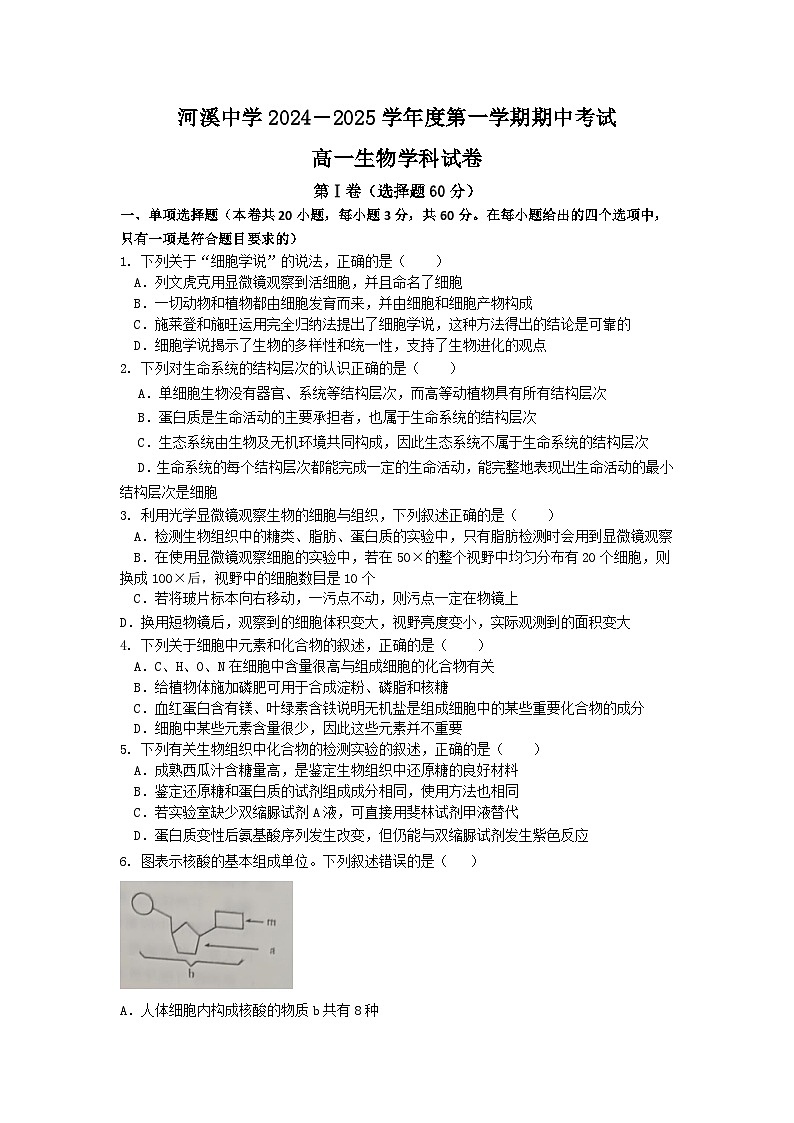 河溪中学 2024-2025学年度第一学期期中考试高一级生物科试卷第1页