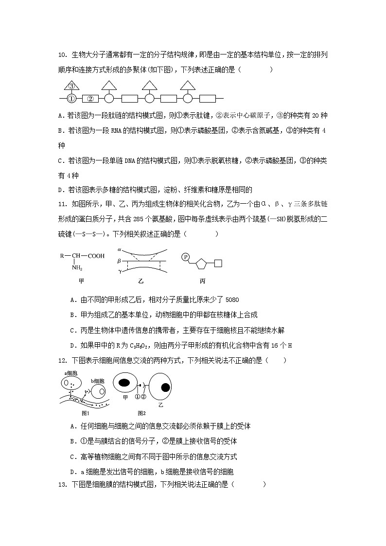 河溪中学 2024-2025学年度第一学期期中考试高一级生物科试卷第3页