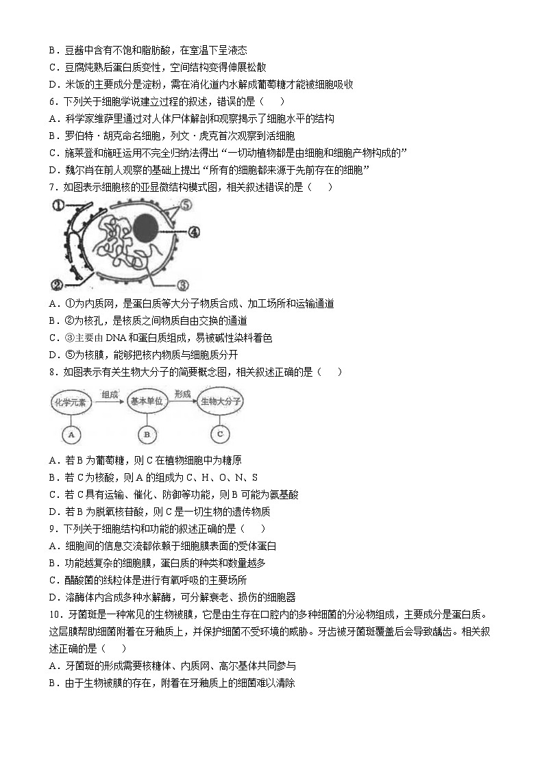 江苏省海安高级中学2024-2025学年高一上学期期中考试生物试题第2页