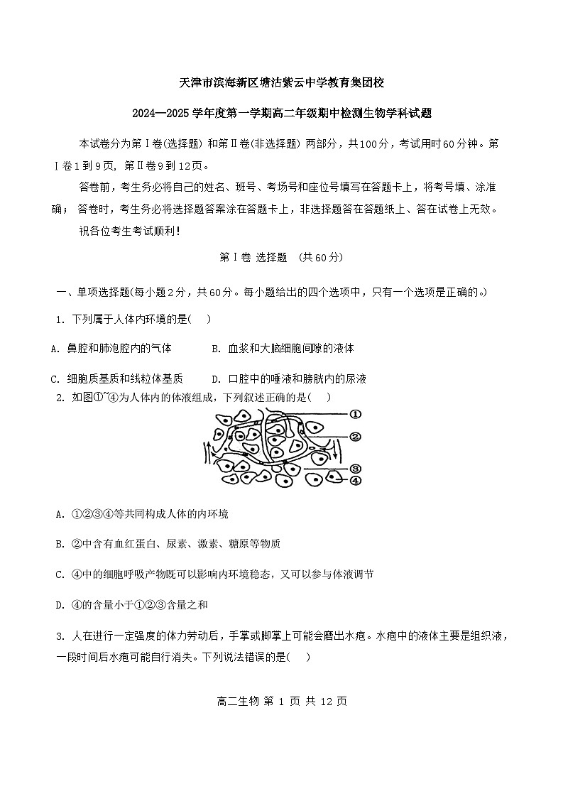 天津市滨海新区塘沽紫云中学2024-2025学年高二上学期11月期中生物试题第1页