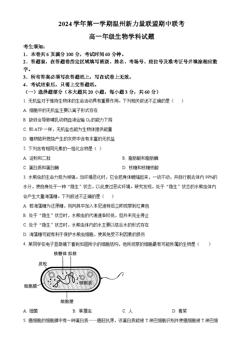 浙江省温州新力量联盟2024-2025学年高一上学期期中联考生物试题（原卷版）-A4第1页