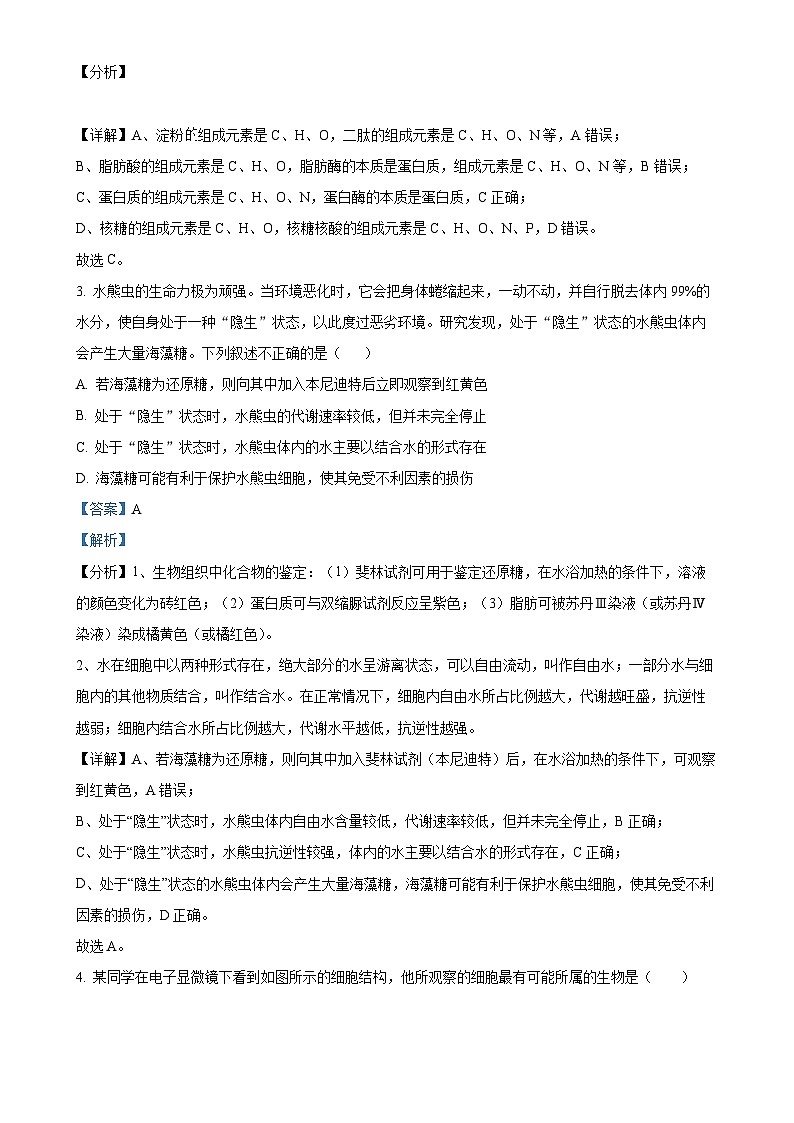 浙江省温州新力量联盟2024-2025学年高一上学期期中联考生物试题（解析版）-A4第2页