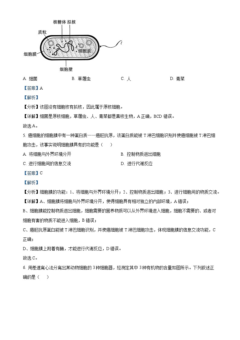 浙江省温州新力量联盟2024-2025学年高一上学期期中联考生物试题（解析版）-A4第3页