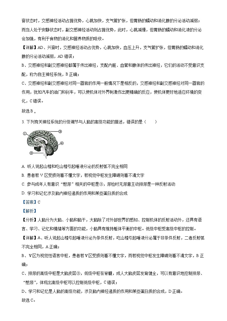 四川省泸州市龙马潭区2024-2025学年高二上学期11月期中生物试题（解析版）-A4第2页