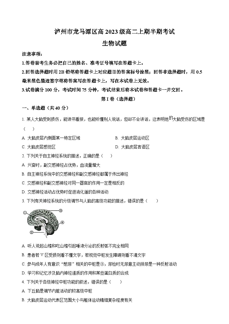 四川省泸州市龙马潭区2024-2025学年高二上学期11月期中生物试题（原卷版）-A4第1页