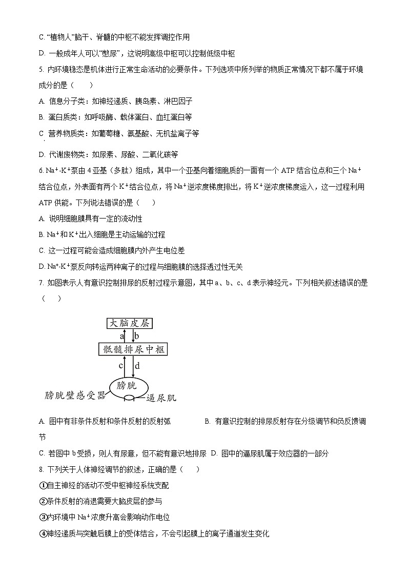 四川省泸州市龙马潭区2024-2025学年高二上学期11月期中生物试题（原卷版）-A4第2页