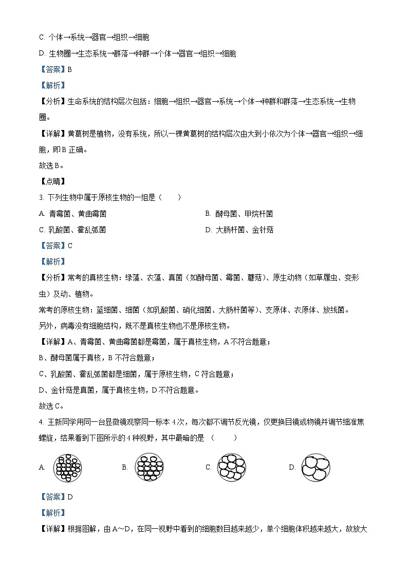 四川省泸州市龙马潭区2024-2025学年高一上学期11月期中生物试题（解析版）-A4第2页