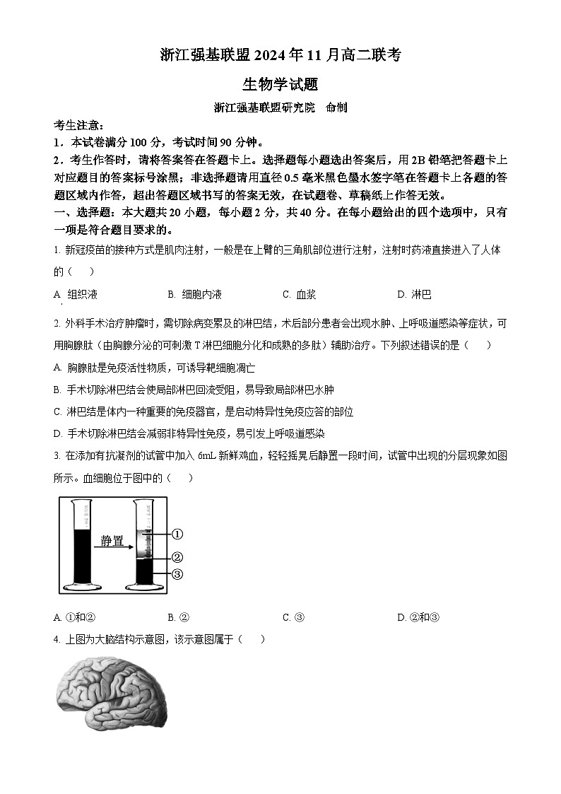 浙江省强基联盟2024-2025学年高二上学期11月联考生物试题（原卷版）-A4第1页