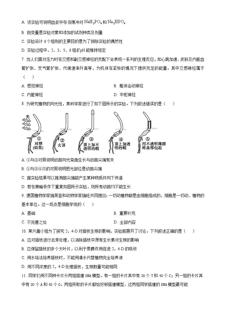 浙江省强基联盟2024-2025学年高二上学期11月联考生物试题（原卷版）-A4第3页
