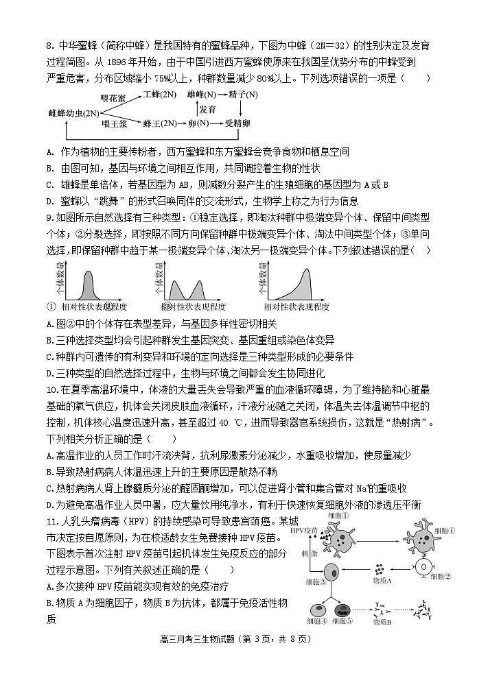 陕西省宝鸡市金台区宝鸡中学2024-2025学年高三上学期12月月考生物试题第3页