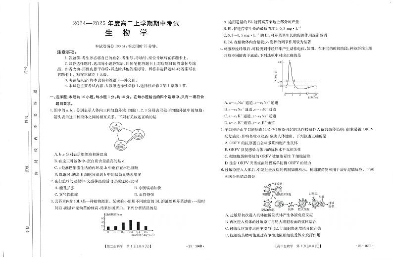 广东省部分名校2024-2025学年高二上学期期中考试生物试题第1页