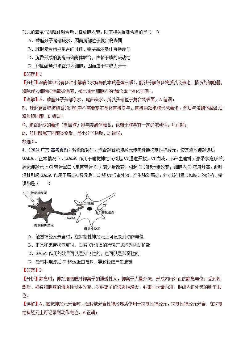 五年高考真题（2020-2024）分类汇编 生物 专题03 物质运输 含解析第3页