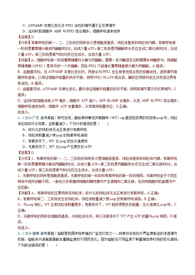 五年高考真题（2020-2024）分类汇编 生物 专题05 细胞呼吸与光合作用 含解析第3页