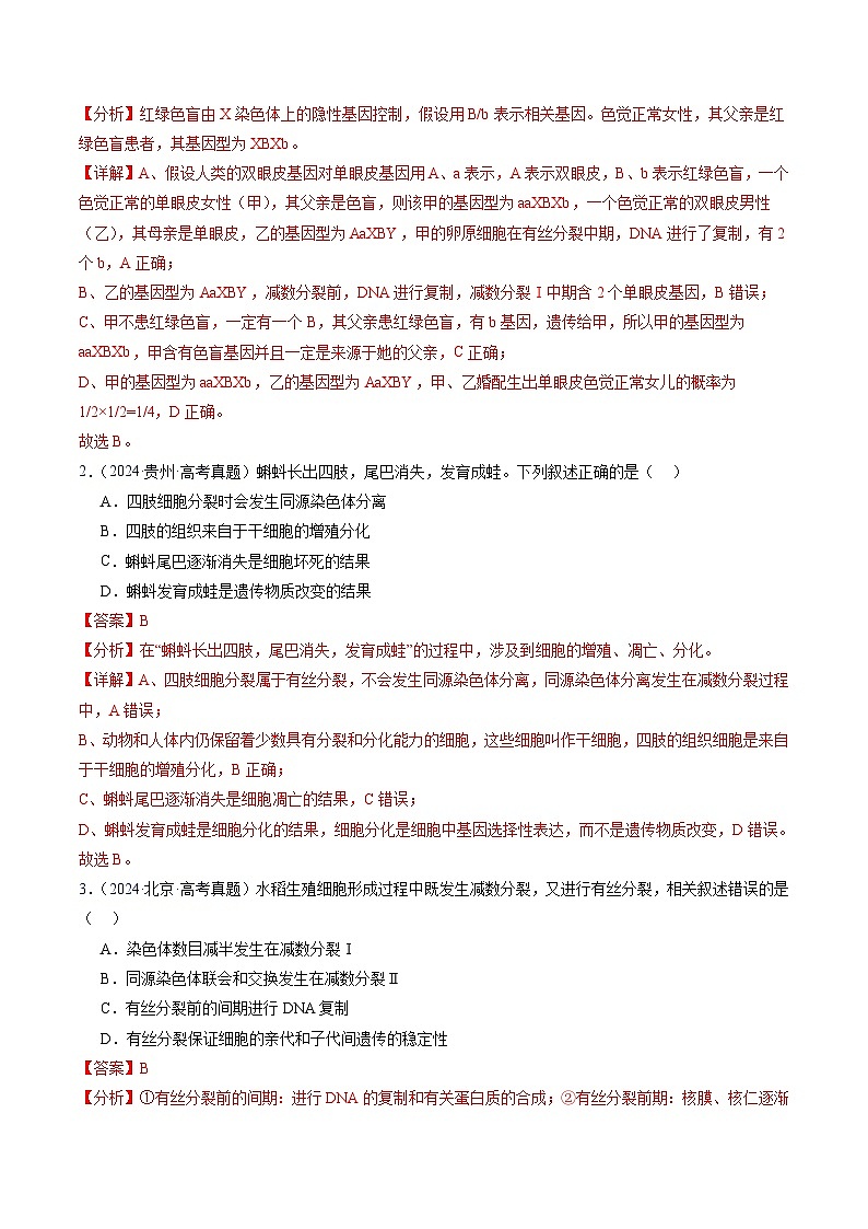 五年高考真题（2020-2024）分类汇编 生物 专题06 有丝分裂和减数分裂 含解析第2页