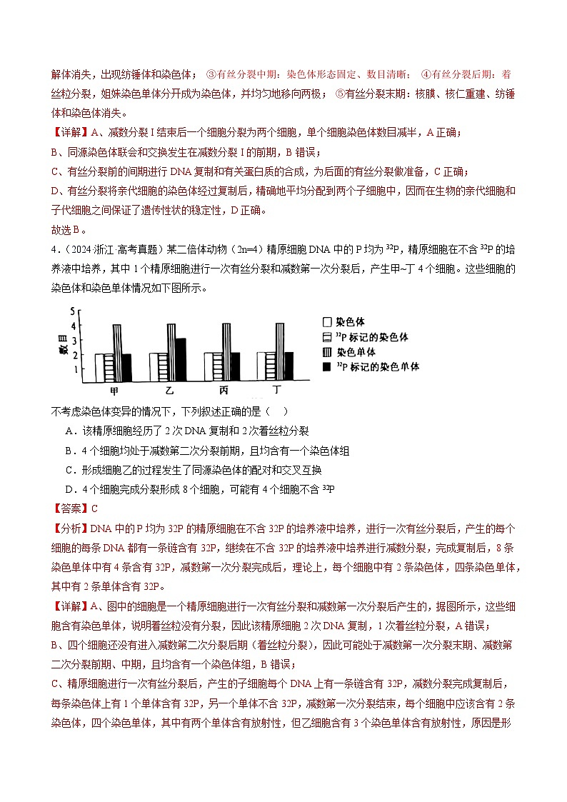 五年高考真题（2020-2024）分类汇编 生物 专题06 有丝分裂和减数分裂 含解析第3页