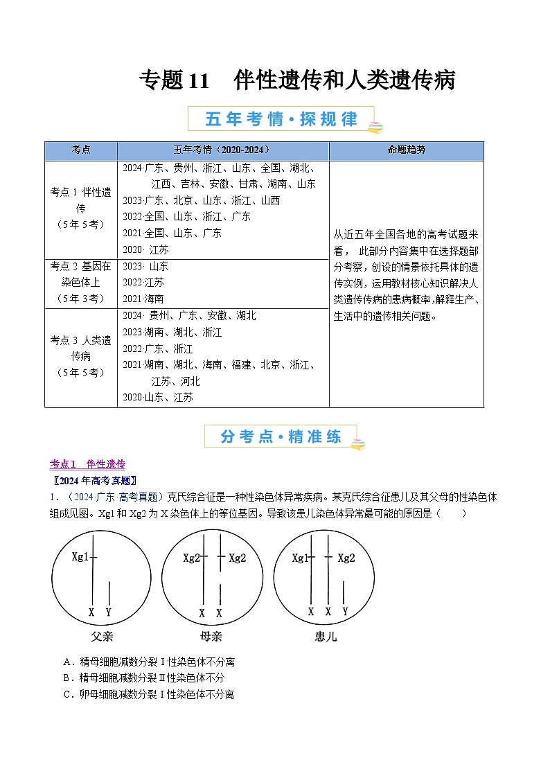 五年高考真题（2020-2024）分类汇编 生物 专题11 伴性遗传和人类遗传病 含解析第1页