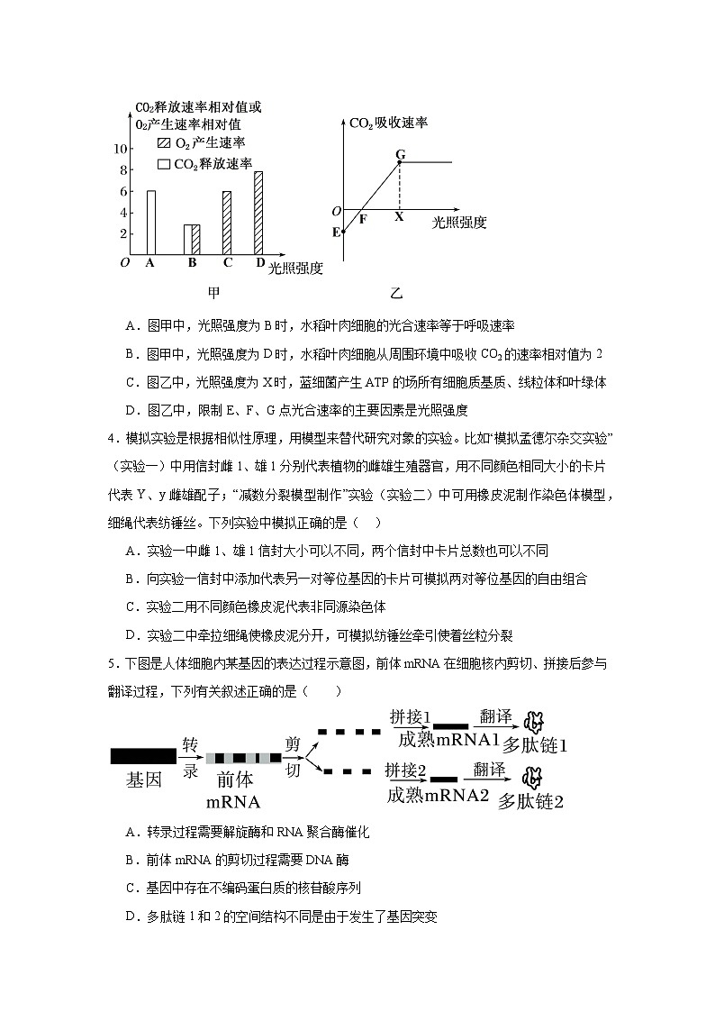江西省上饶市新知学校2024-2025学年高三上学期12月月考生物学检测试题第2页