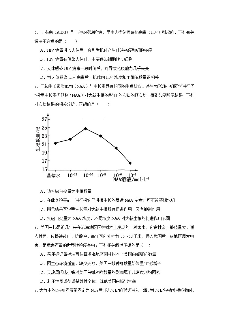 江西省上饶市新知学校2024-2025学年高三上学期12月月考生物学检测试题第3页